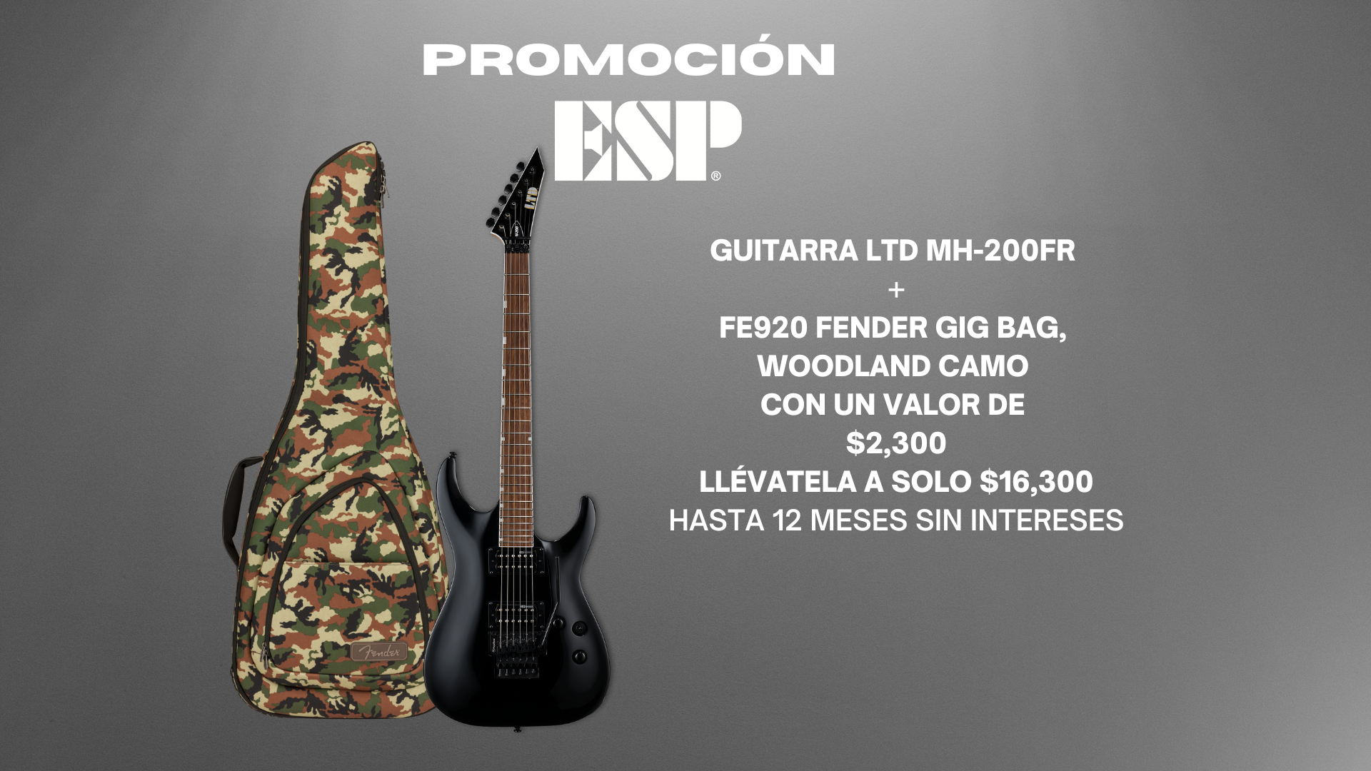 ESP LTD MH-200FR