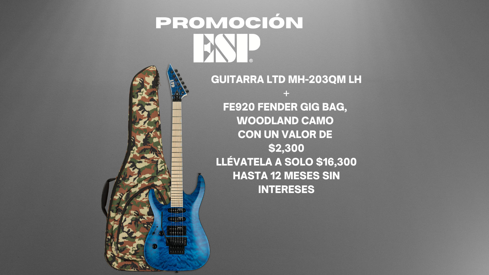 ESP LTD H-200FM