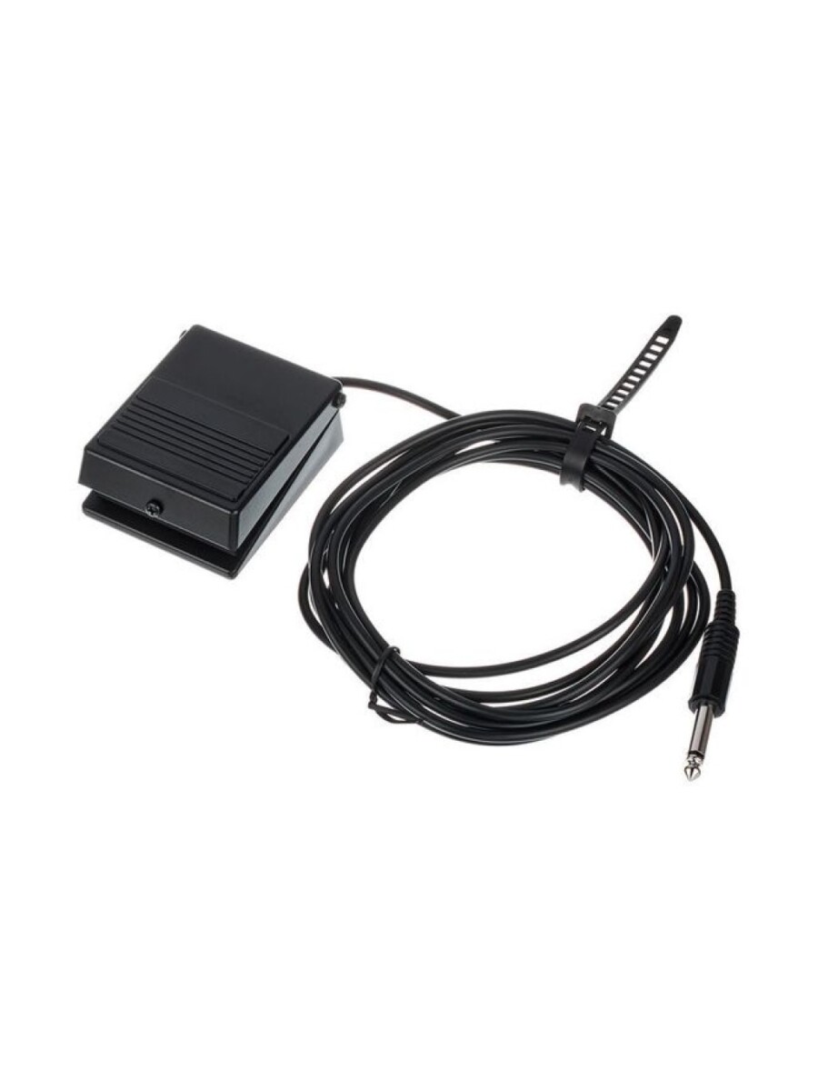 PEDAL SWITCH ROLAND DP-2 - 761294009116