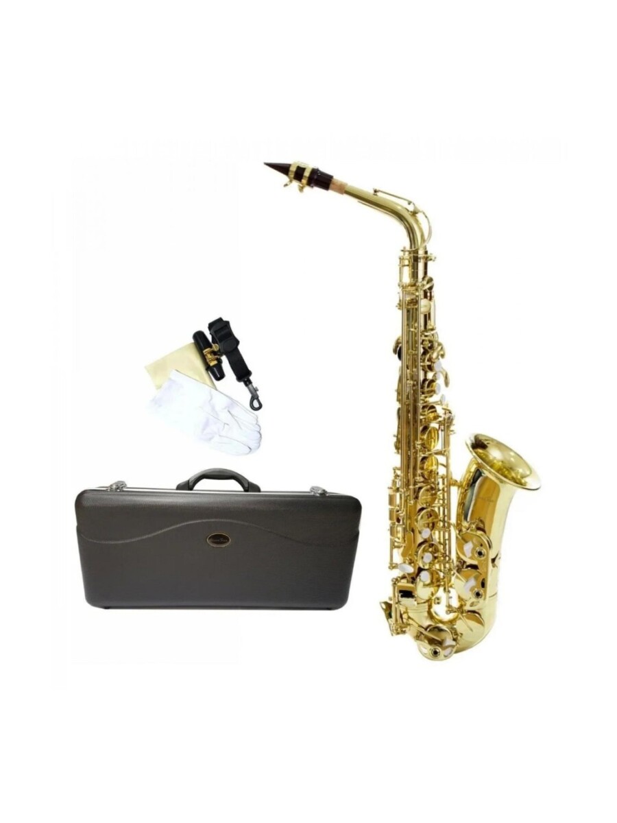 SAXOFON ALTO SILVERTONE - SAXALSIL